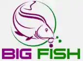  Reducere Bigfish.ro