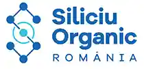  Reducere Siliciu Organic