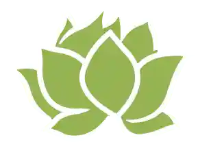  Reducere White Lotus Home